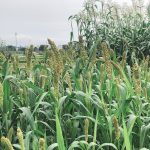 こどものいばしょ～食ママネット